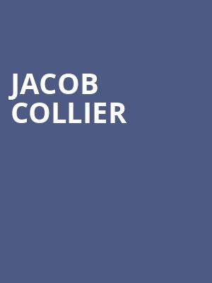 Jacob Collier, Moody Amphitheater, Austin