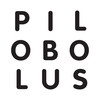Pilobolus Dance Theater