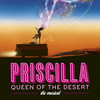 Priscilla Queen of the Desert at the Bass Concert Hall, Austin