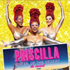 Priscilla Queen of the Desert at Bass Concert Hall