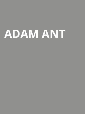 Adam Ant, ACL Live At Moody Theater, Austin