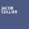 Jacob Collier, Moody Amphitheater, Austin