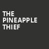 The Pineapple Thief, Come and Take it Live, Austin