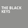 The Black Keys, Moody Center ATX, Austin