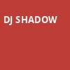 DJ Shadow, Mohawk, Austin